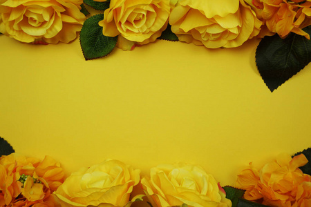 彩色黄玫瑰框架与空间复制
