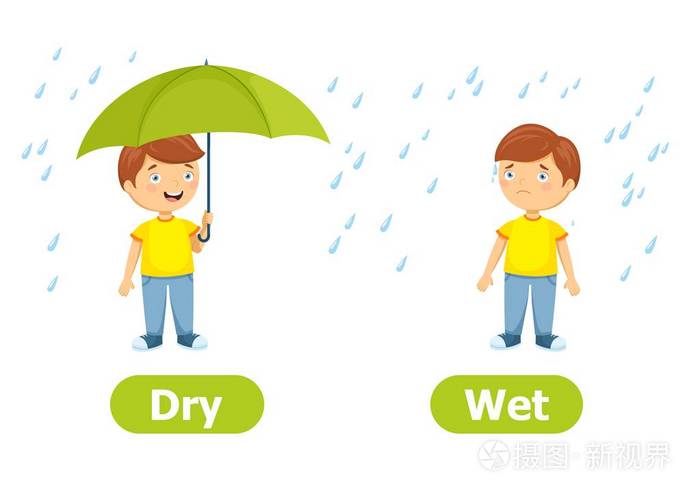 向量反义词和对立面.干的和湿的. 白色背景上的卡通人物插图.