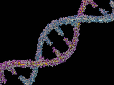 DNA分子位于黑色背景前面。 抽象拼贴。 3D渲染