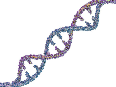 DNA分子位于白色背景前面。 抽象拼贴。 3D渲染