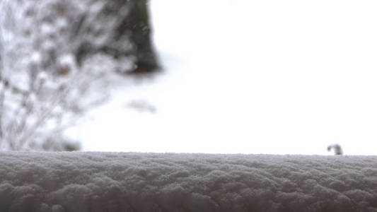 背景新鲜雪质地蓝色色调关闭