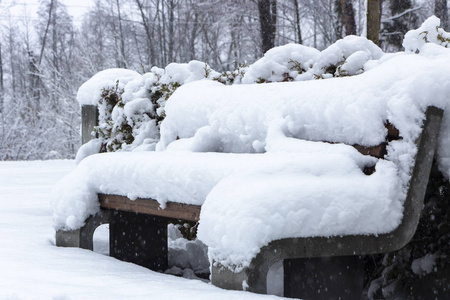 冬季概念公园长椅上的雪