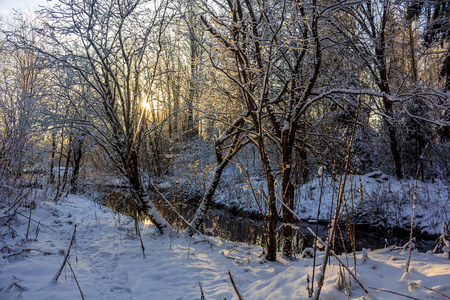 俄罗斯风景. 冬季寒冷的季节. 雪图片照片