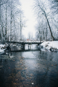 冬季公园景观与河流。 俄罗斯风景。 冬季寒冷的季节。 雪图片