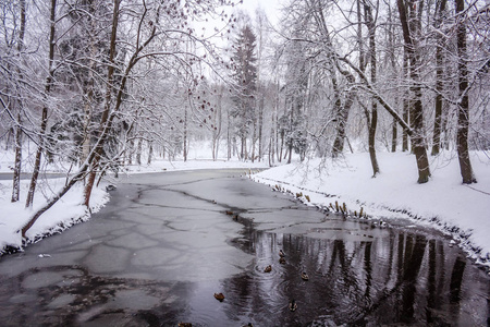 冬季公园景观与河流。 俄罗斯风景。 冬季寒冷的季节。 雪图片