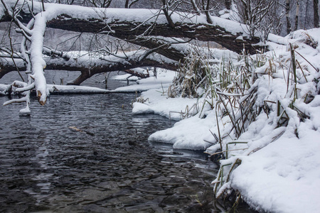 冬季公园景观与河流。 俄罗斯风景。 冬季寒冷的季节。 雪图片