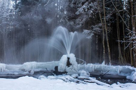 加奇纳喷泉在冬天。 从地上喷出的水。 水中的冰生长