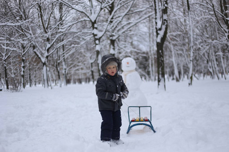 孩子在公园冬天玩雪的乐趣情绪