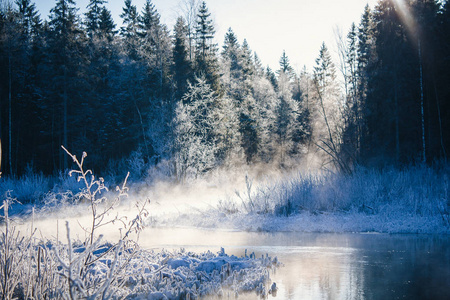 冬季公园景观与河流。 俄罗斯风景。 冬季寒冷的季节。 雪图片