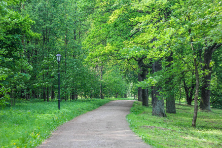 xsmax屏保图片-xsmax屏保素材-xsmax屏保插画-摄图新视界