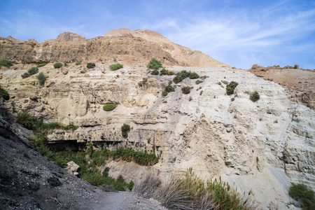 峡谷在山上。 朱迪恩沙漠中的绿洲。 美丽的山景。 中东的性质。 以色列国家公园。