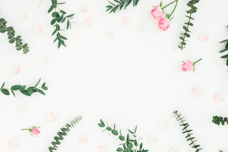 白色背景上粉红色玫瑰花和桉树枝的花框。 平躺式顶部视图