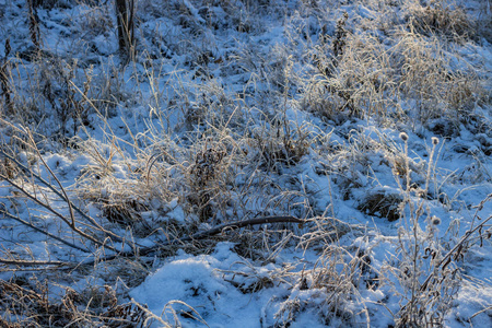 草地上的第一场雪