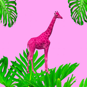 最小的当代拼贴艺术。 时尚长颈鹿和粉红色概念的植物