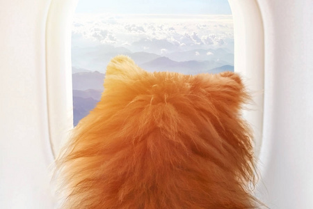 旅行目的地空中图片