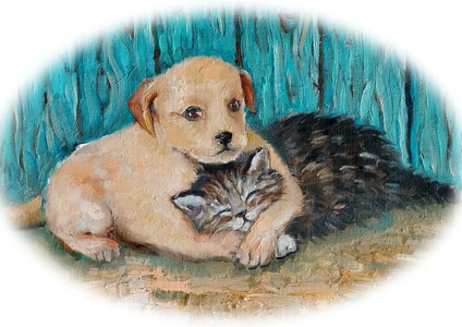 猫和狗的友谊图片