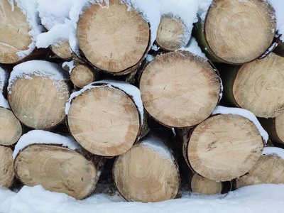 冬天，干劈柴的原木堆在一堆木头上
