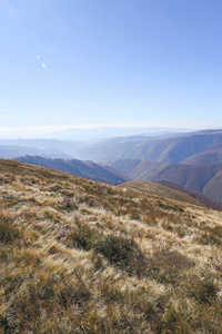 山，风景，森林，日落