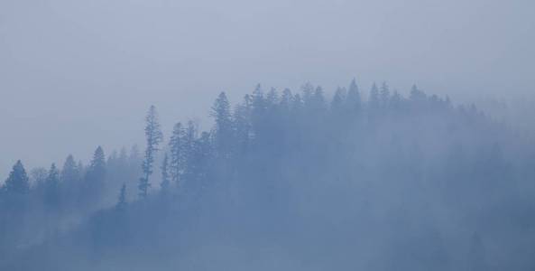 冬季喀尔巴阡山雾蒙蒙的山脉和森林