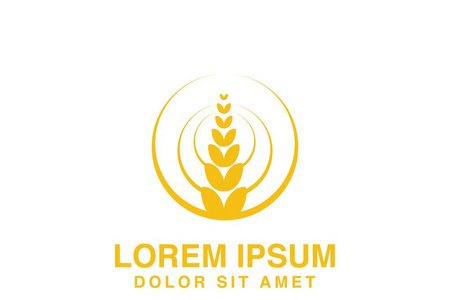 麦粒农业标志设计灵感与白色背景隔离