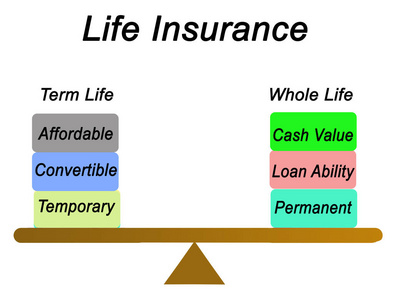 两种类型的人寿保险图片