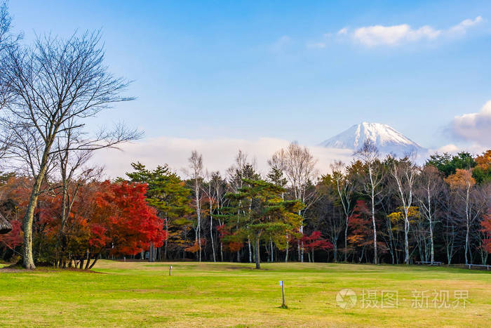 日本大林秋季湖泊四周枫叶树的富士山美景