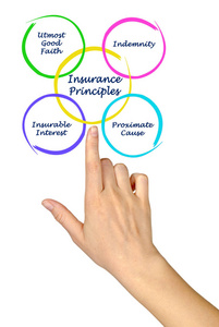 提出了四项保险原则