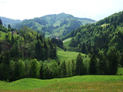 瑞士阿彭策尔奥塞尔罗登州的Zrchermhle村的牧场和山丘