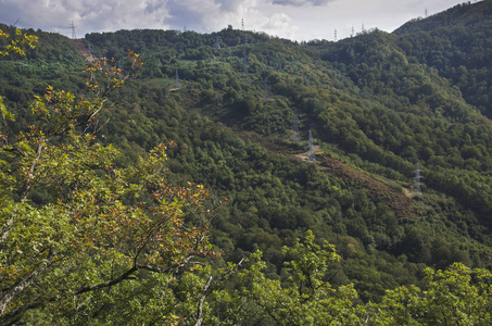 白种人山区的景观淹没在绿色植物中