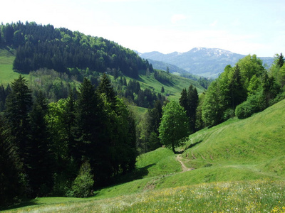 瑞士阿彭策尔奥塞尔罗登州的Zrchermhle村的牧场和山丘