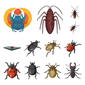 昆虫和甲虫图标的孤立对象。一套昆虫和万圣节矢量图标的股票