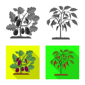 温室和植物标志的孤立对象。温室和花园股票矢量图集