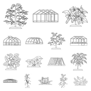 温室和植物符号的孤立对象。温室和庭院股票载体例证的汇集