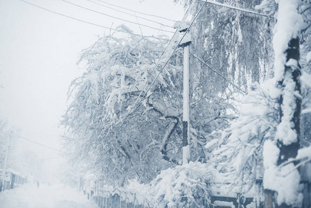 村里的冬天下雪了。雪塌