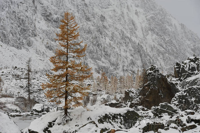 多云的早晨。 雪覆盖冬山湖俄罗斯西伯利亚阿尔泰山丘崖岭。