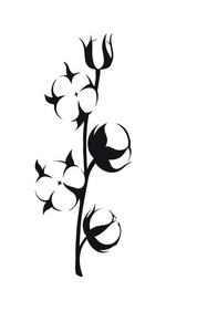 棉花的分支图片-棉花的分支素材-棉花的分支插画-摄图新视界