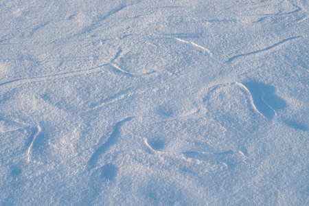 背景，纹理表面覆盖着新鲜的软雪。立陶宛冬季。