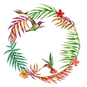 棕榈叶框架，佛兰吉帕尼花和蜂鸟，热带装饰，白色背景上的水彩画与剪裁路径隔离