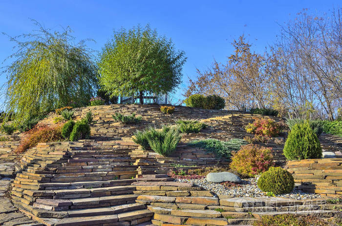 秋天假山花园里五颜六色的矮树针叶树灌木和石头间的花晴天山坡上美丽