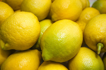 许多新鲜的柠檬水果从柠檬树的树枝上摘下.