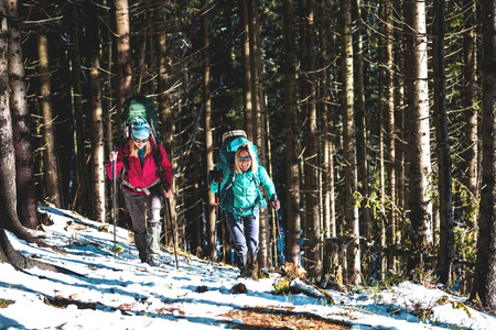 两个女人在冬季远足。 带着徒步旅行杆的女朋友在白雪覆盖的山路上。 带背包和雪鞋的女孩一起旅行。 朋友在阳光明媚的日子穿过杉树林。