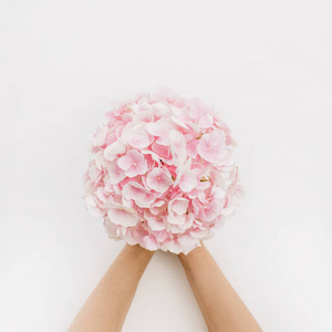 女人的手拿着白色背景上的粉红色绣球花束。 平躺顶景花卉概念。