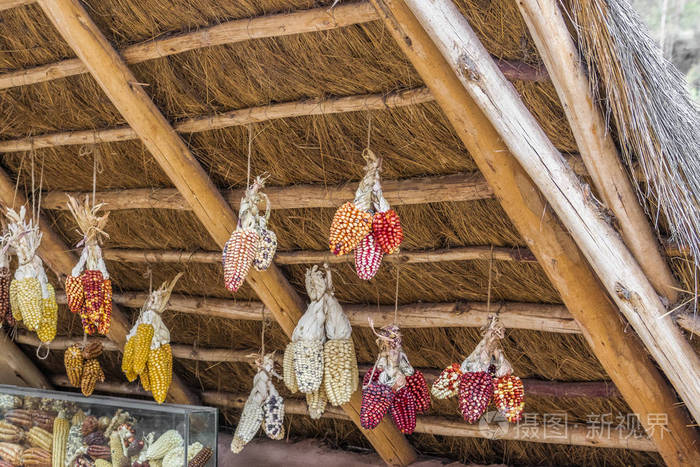 五颜六色的玉米耳朵在秘鲁一个多山的村庄里一个谷仓的茅草屋顶下的绳子上干燥。
