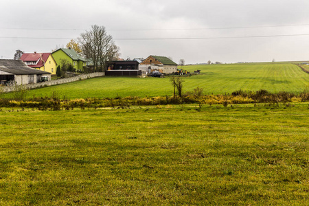 绿色的草地周围的村庄在前景.房子和农场建筑在背景.