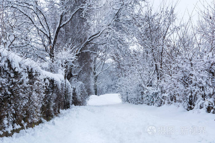 寒冷的冬天公园里布满了大雪。冬天，寒冷的天气，有雪的概念