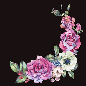 装饰复古水彩粉红色玫瑰，自然花花环与花，海葵，棉花，叶子和花蕾，植物插图隔离在黑色背景