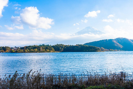 日本大林湖边枫叶树的富士山美景