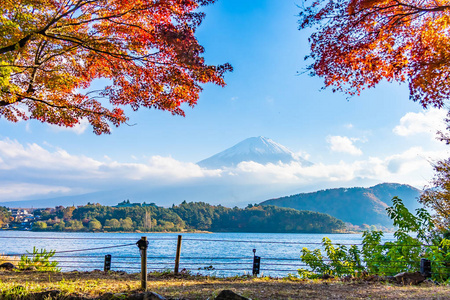 日本大林湖边枫叶树的富士山美景