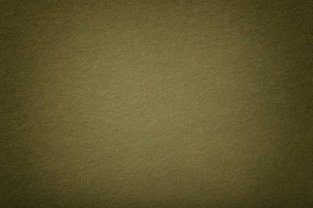 绿色的天鹅绒质地图片