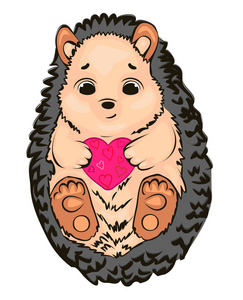 微笑刺猬的矢量插图. 可爱的卡通人物.照片